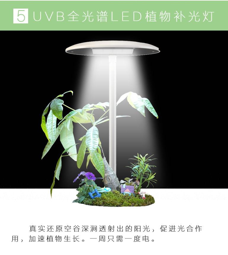 素心智能花盆陶瓷創(chuàng)意爆款個性室內(nèi)大號防腐永生盆景